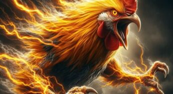 SABUNG AYAM : BERTARUH ONLINE RESMI DAN MENGASYIKKAN