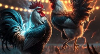 UGMBET : LINK LOGIN AGEN LIVE SABUNG AYAM TERPERCAYA 2025